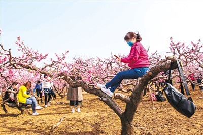 少少德性失范外象激励全社会平凡闭心和叙论 “公民德性不是写正在纸上挂正在墙上的”博乐体育(图1)