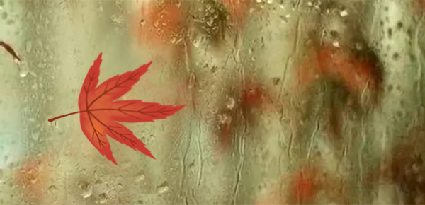 博乐体育：社会意境学眷注的首要观点是(图1)