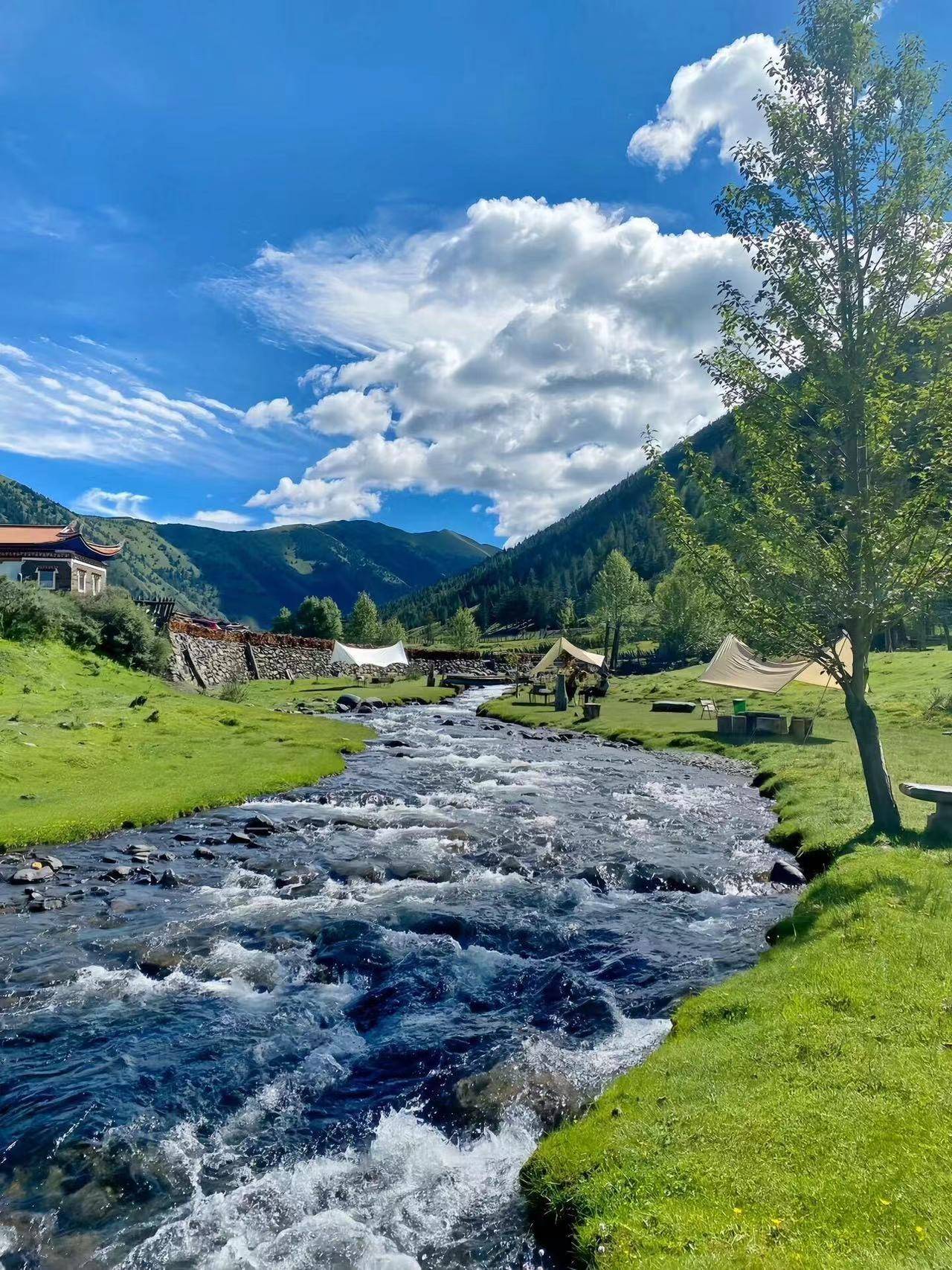 博乐体育：凌海至四川旅逛攻略须要众少钱 不空话！纯享旅逛攻略(图3)