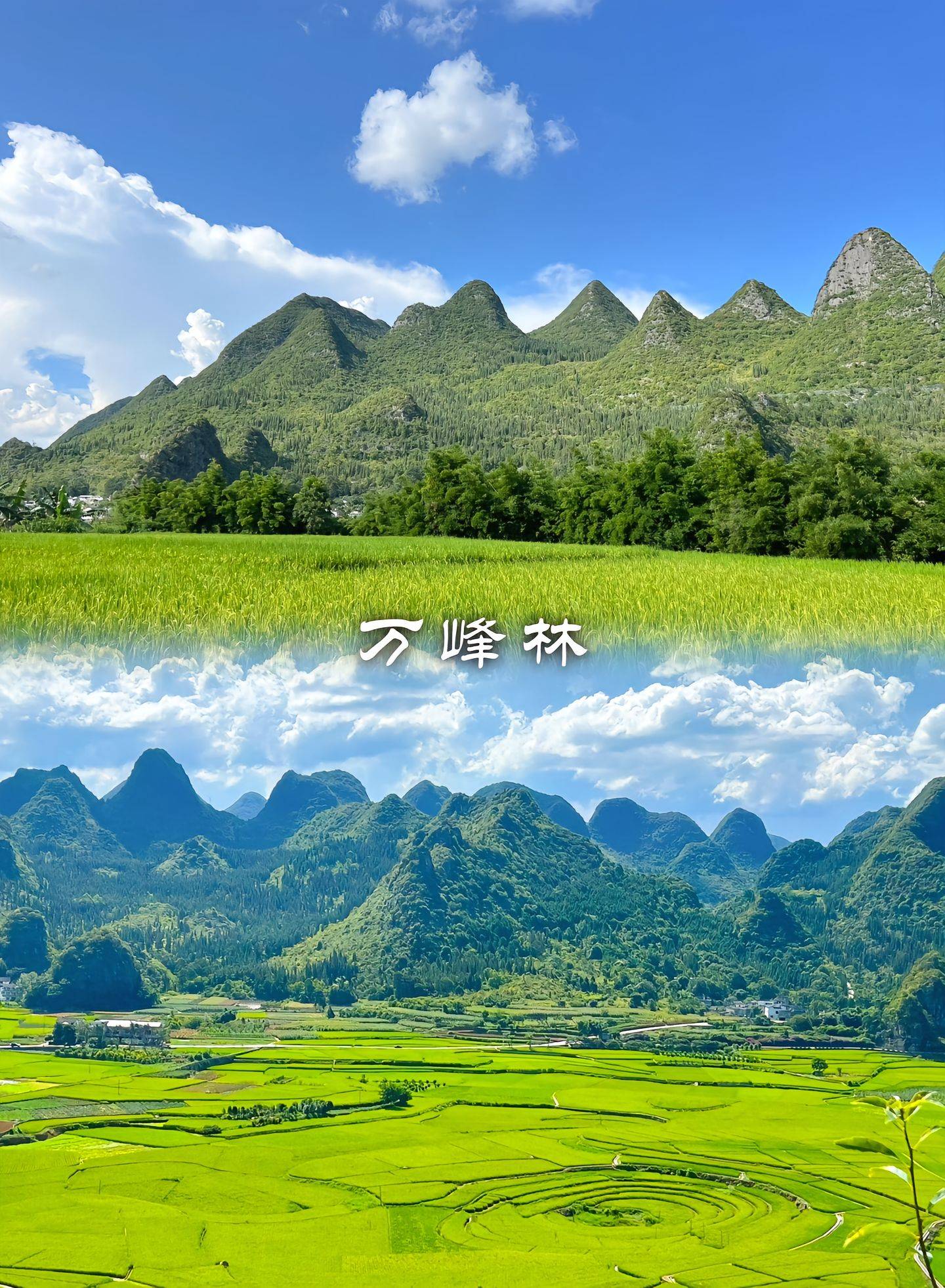 博乐体育：东莞至贵州旅逛攻略必要众少钱 2024适用攻略-亲历玩耍经历！(图2)