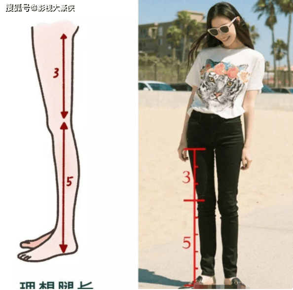 博乐体育：文娱圈的那些“腿精”美女个个都是公共的梦中情腿！(图18)