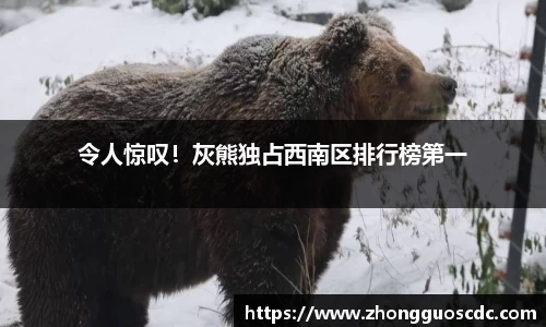 令人惊叹！灰熊独占西南区排行榜第一