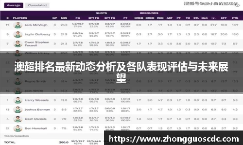 澳超排名最新动态分析及各队表现评估与未来展望